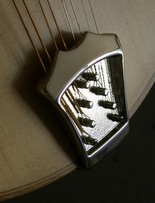 tailpiece